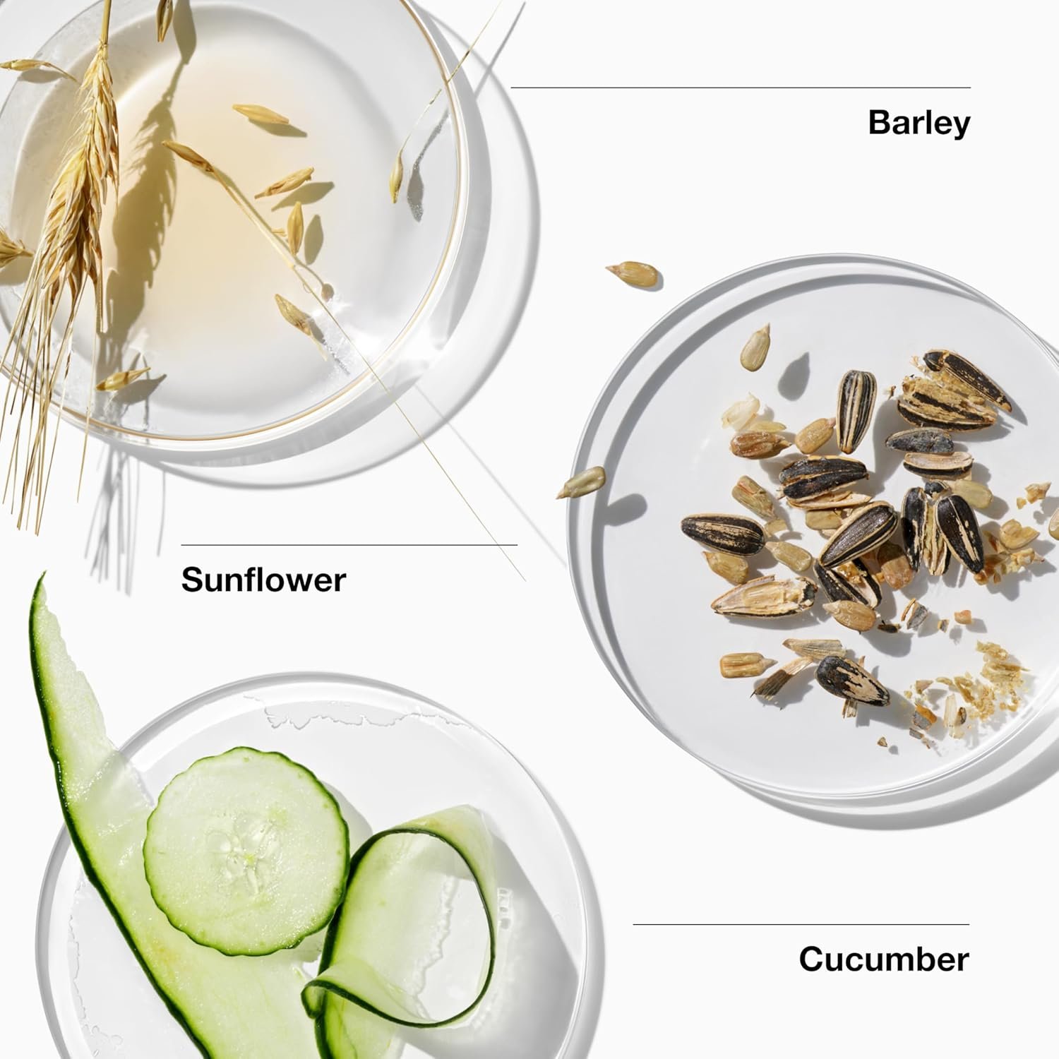 Clinique For Men Oil-Free Hydrating Face Moisturizer With Barley, Sunflower + Cucumber | For Oily Skin Types, 3.4 Fl Oz - Image 3